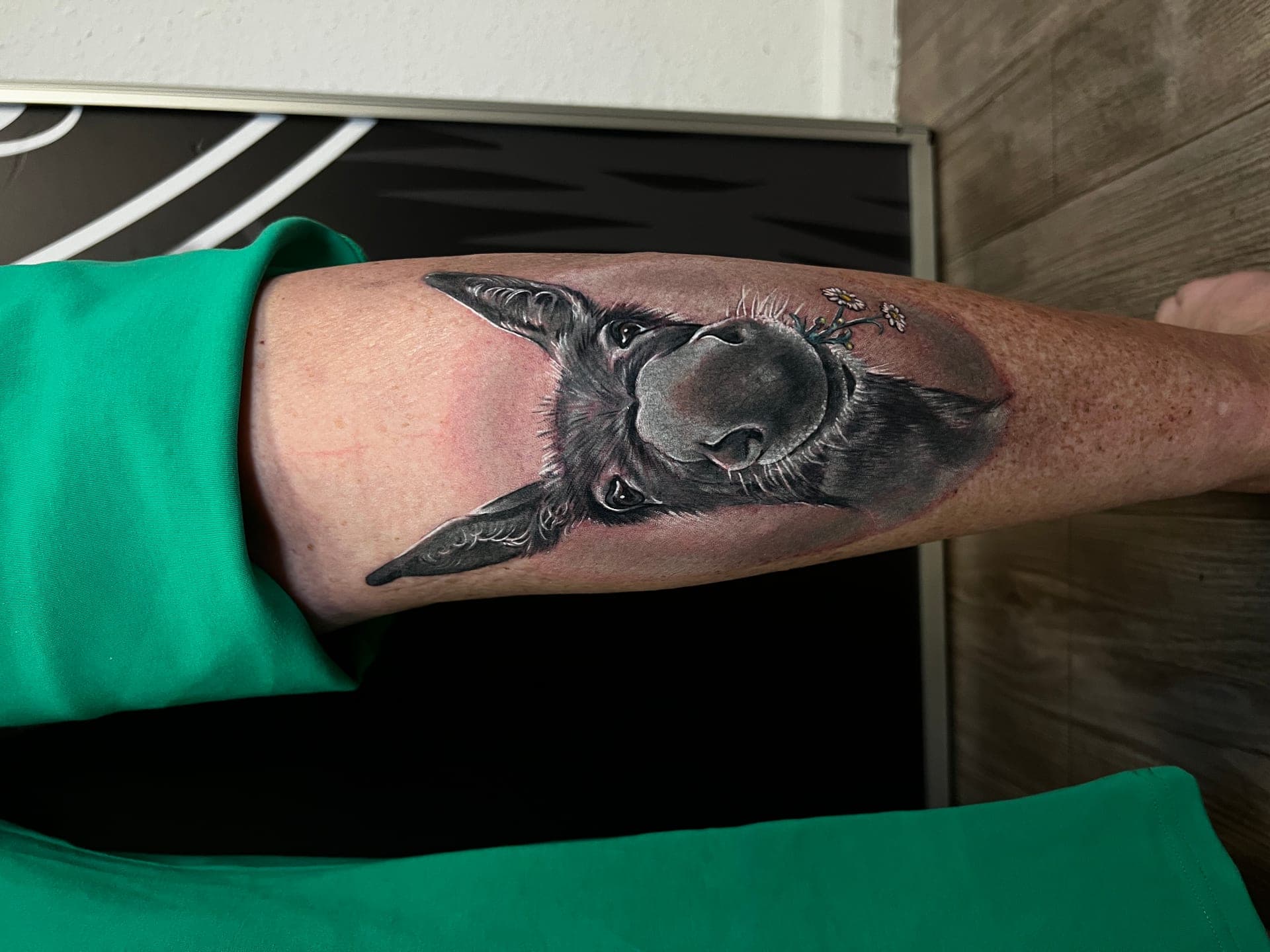 Christi  - Portfolio 15