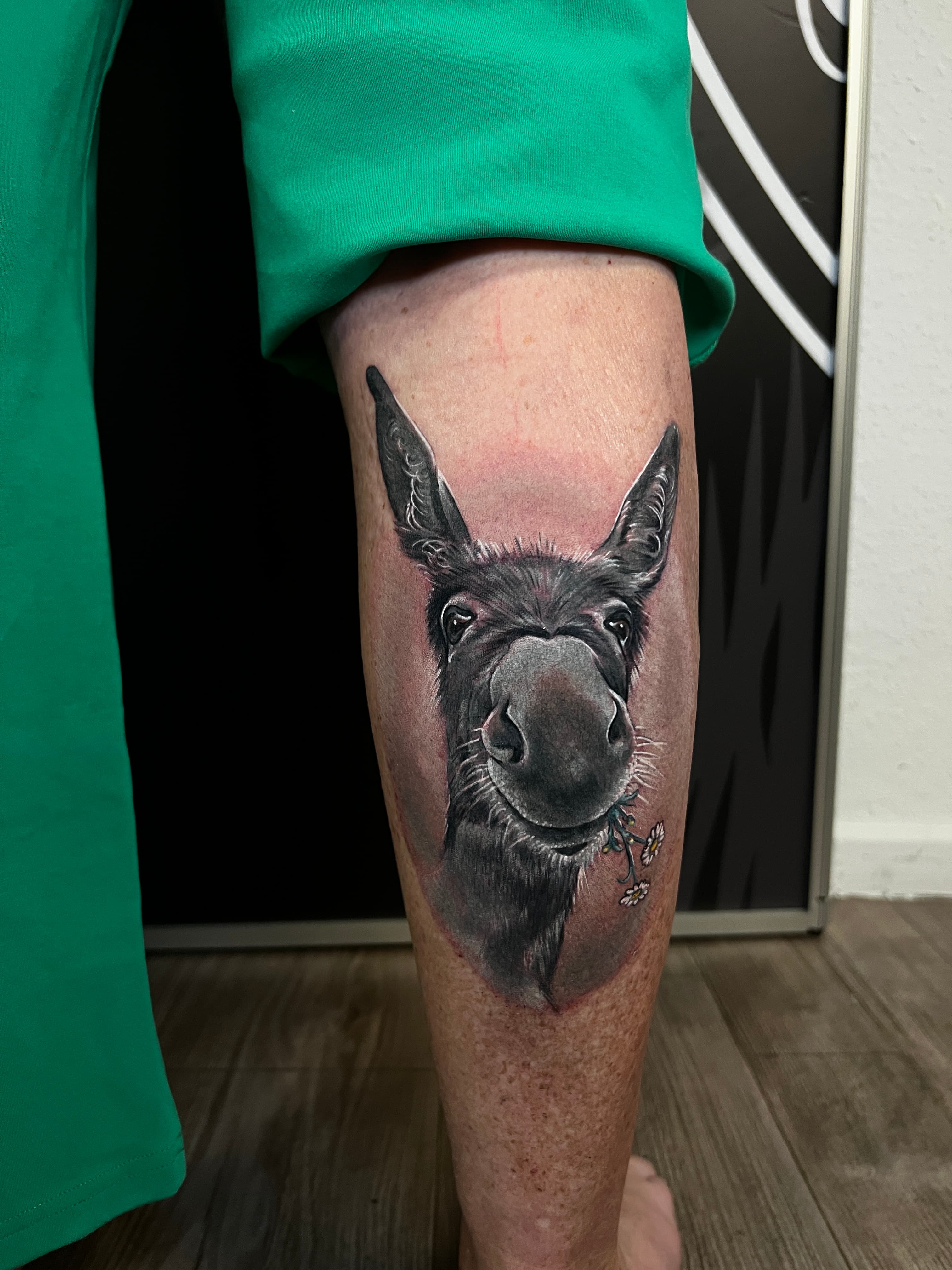 Christi  - Portfolio 15