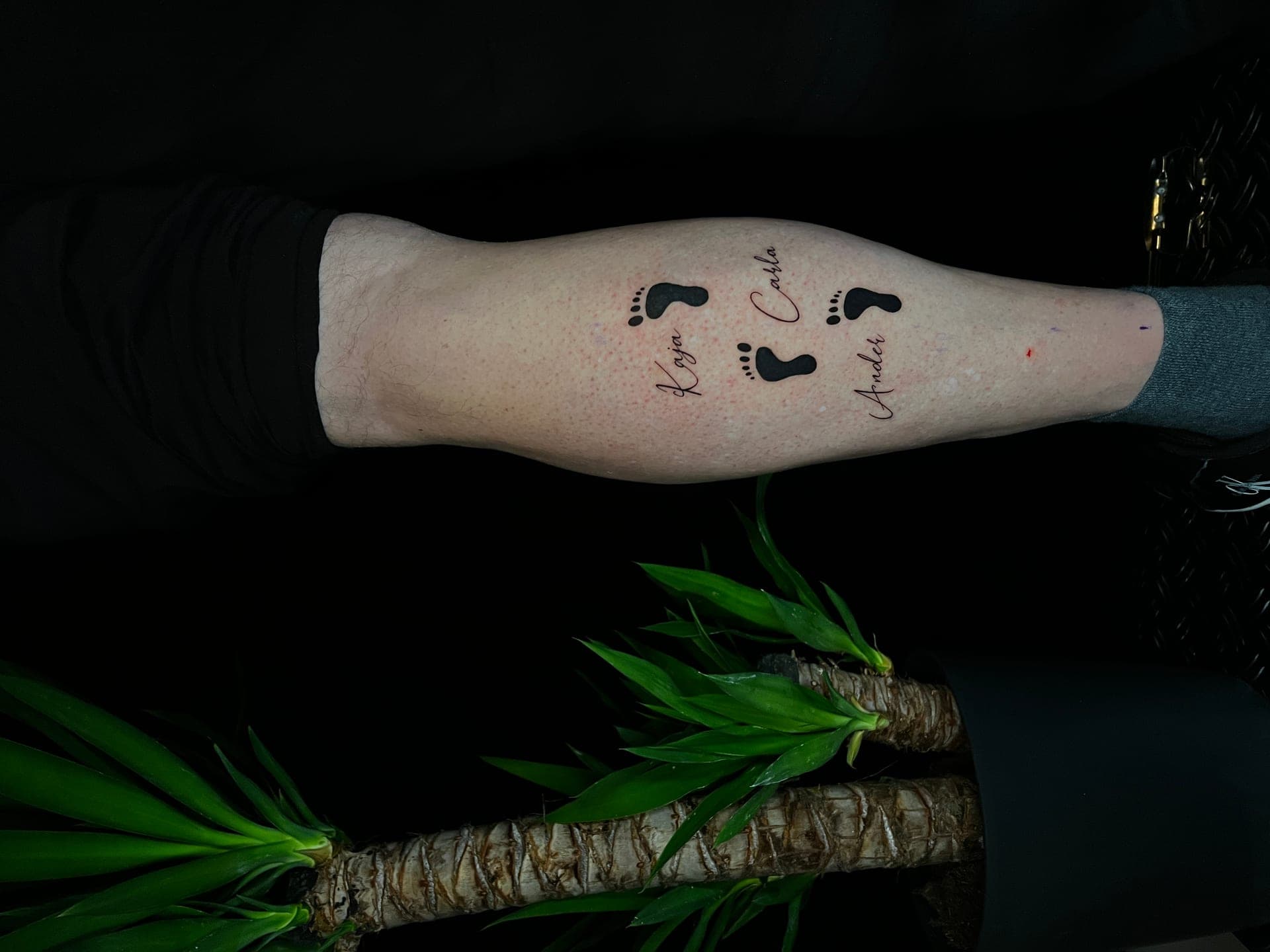 Lawson - Portfolio 7