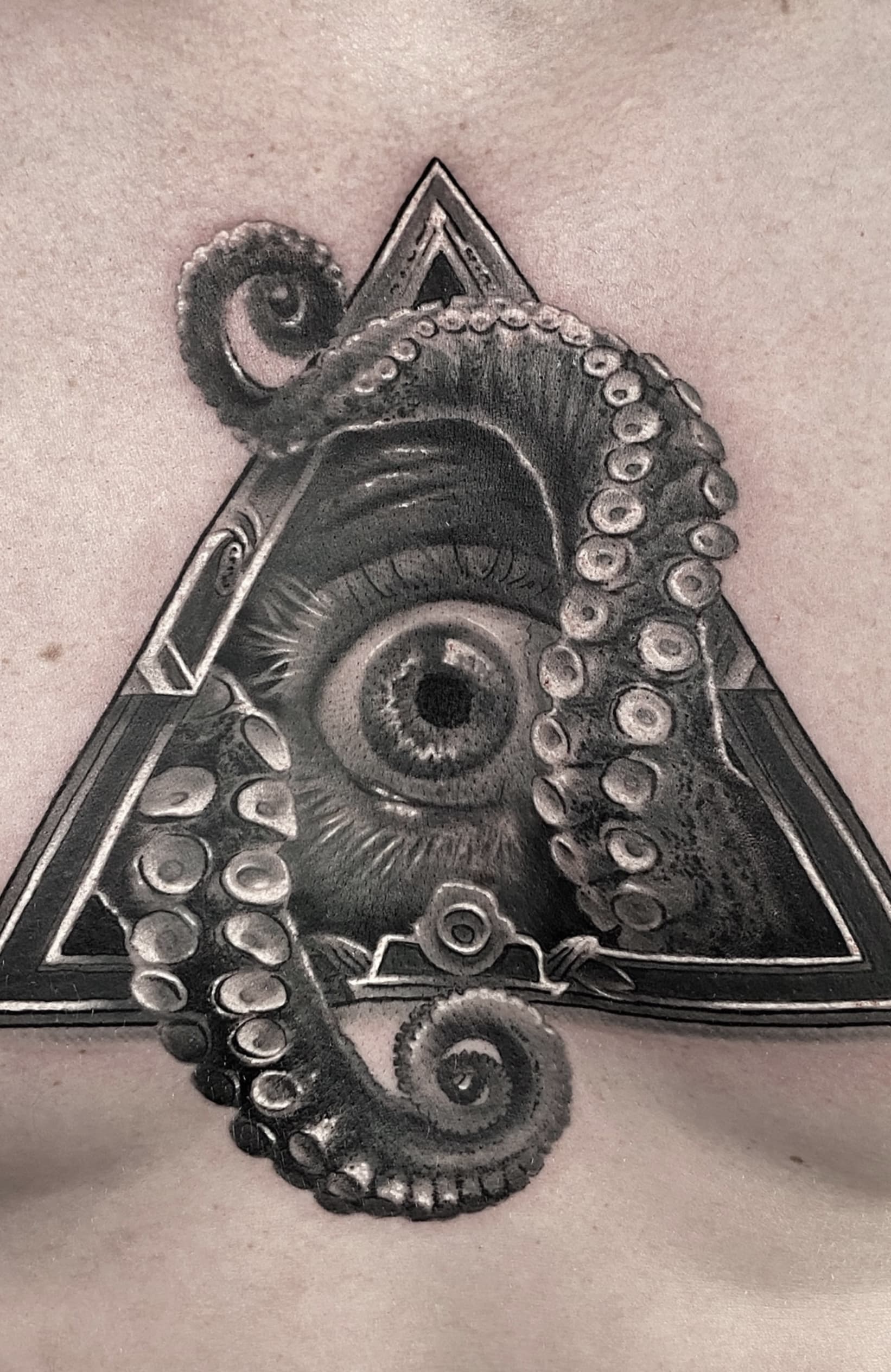 Tomek - Portfolio 23