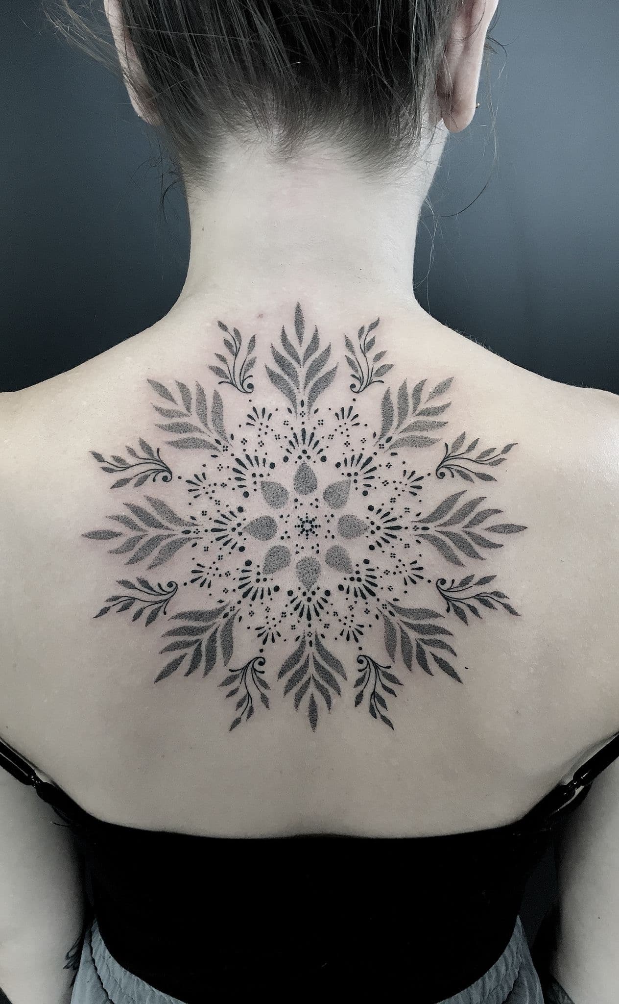 Tomek - Portfolio 30