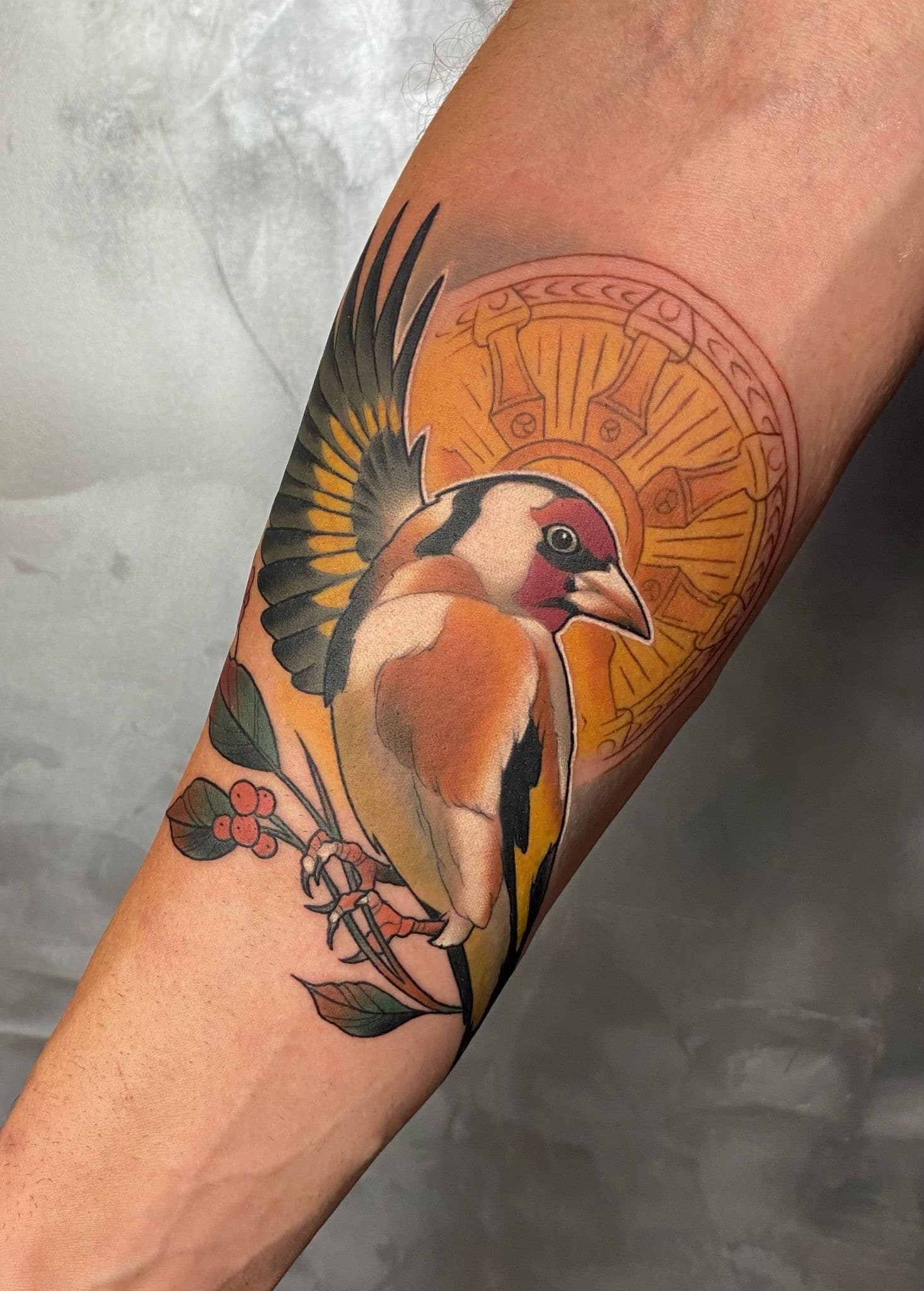 Tomek - Portfolio 31