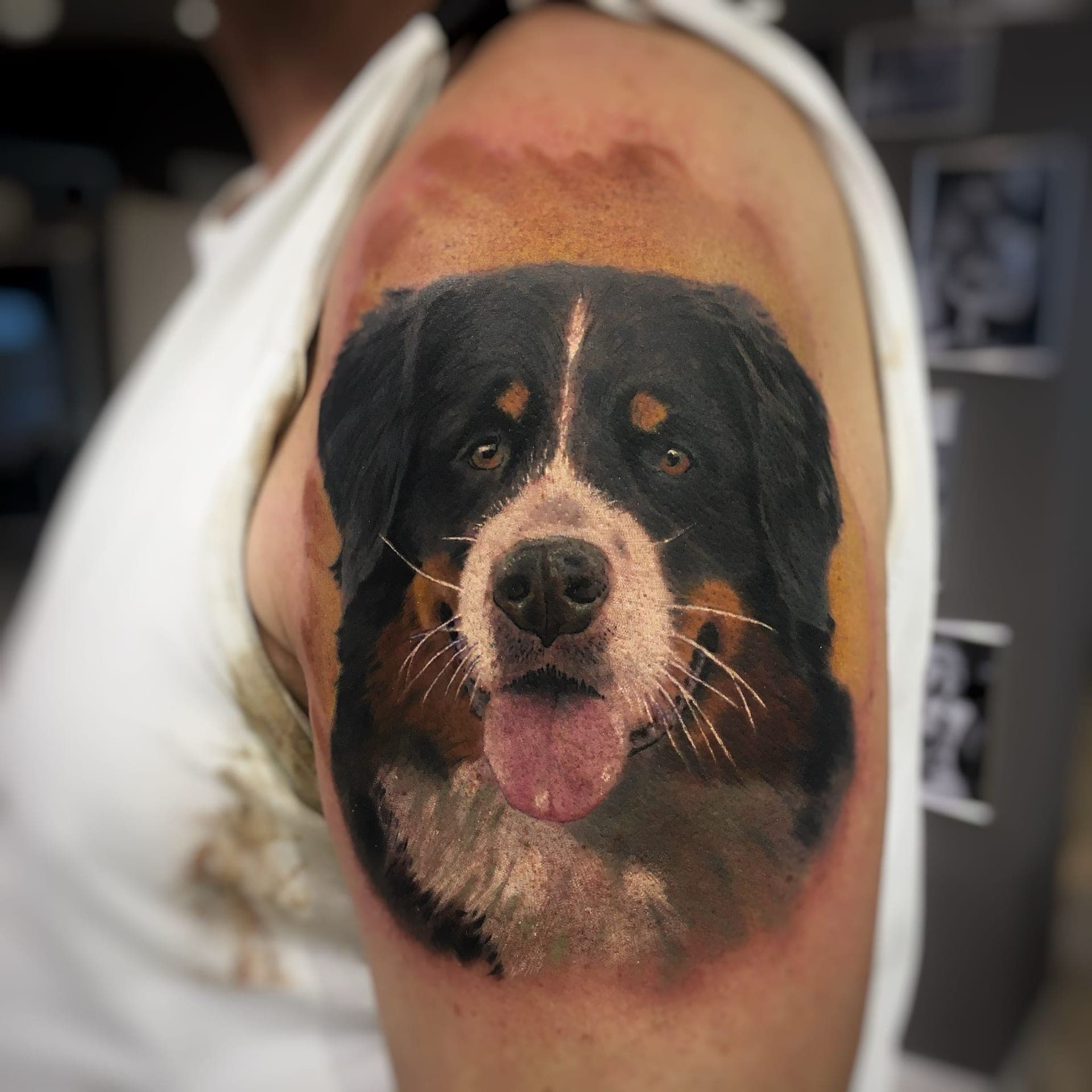 Tomek - Portfolio 13