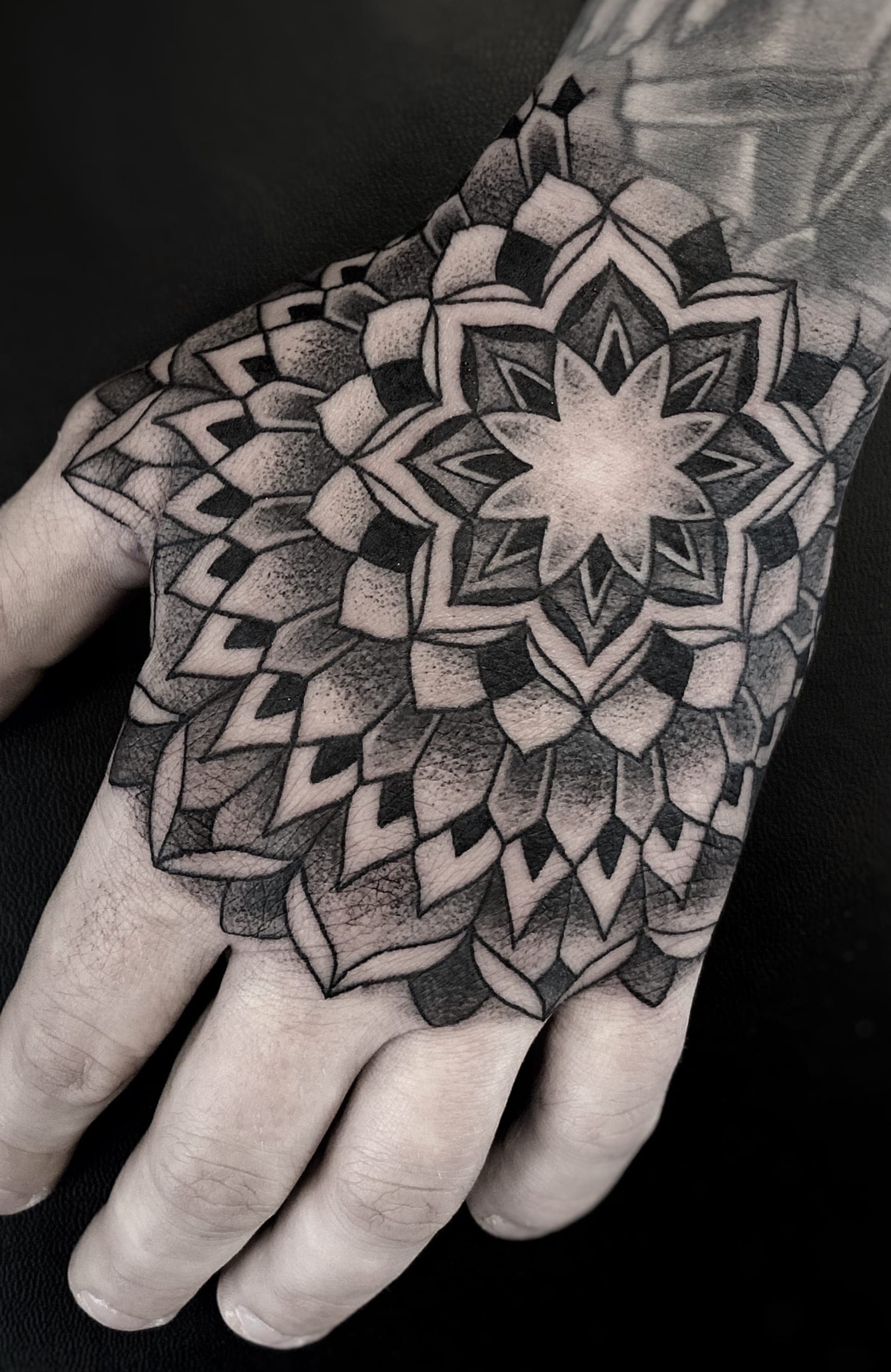 Tomek - Portfolio 18