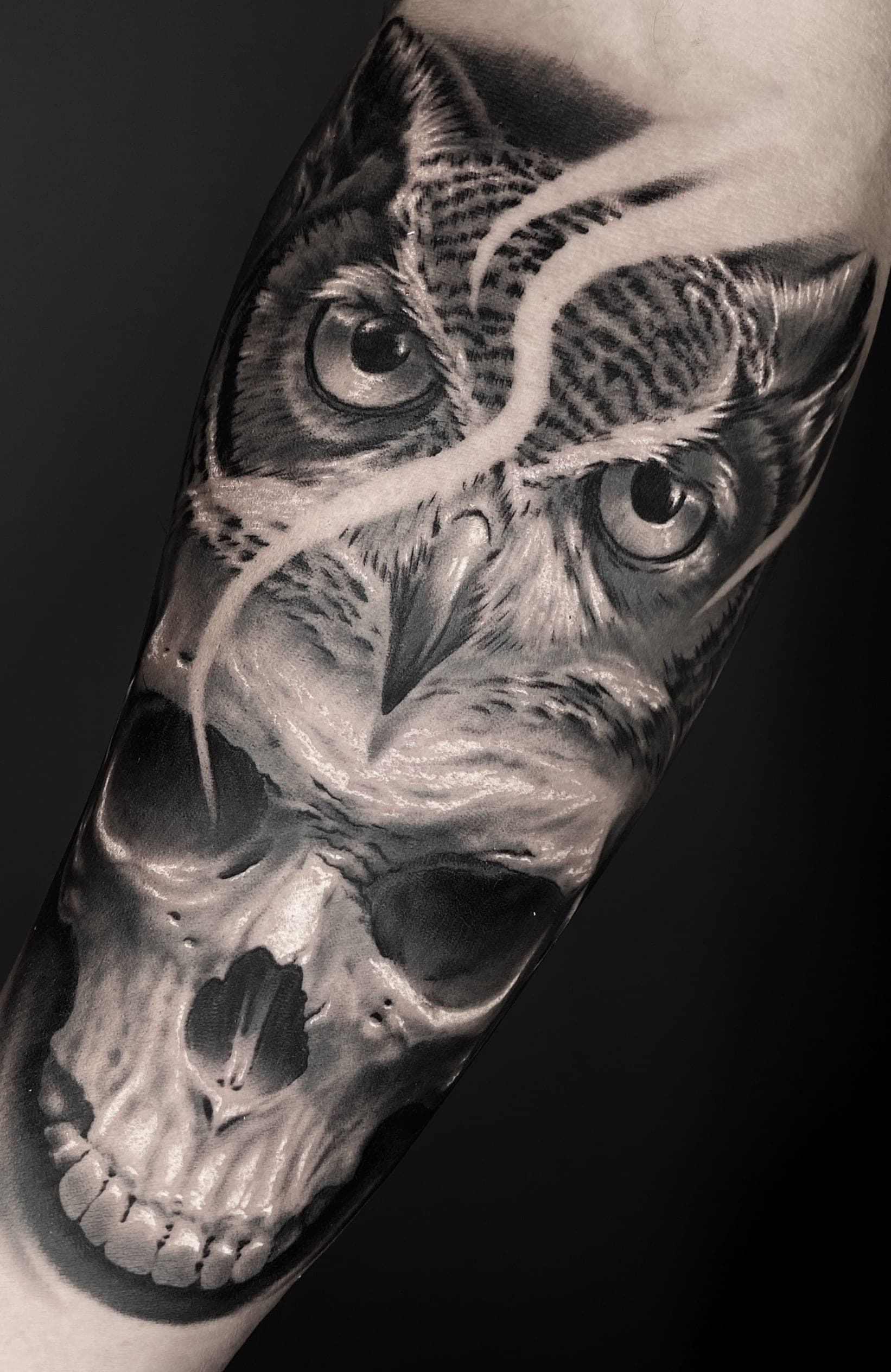 Tomek - Portfolio 19