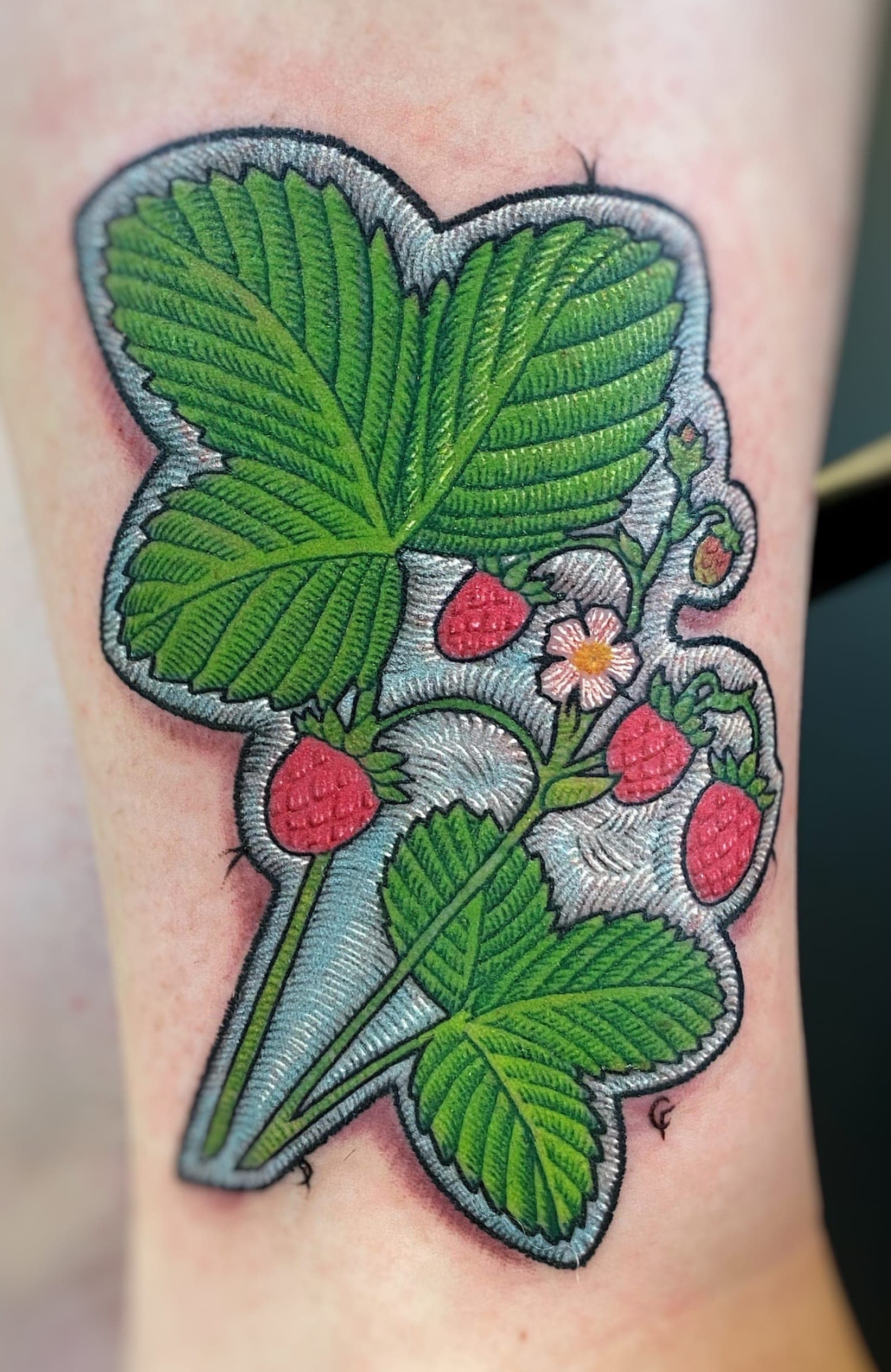 Tomek - Portfolio 22