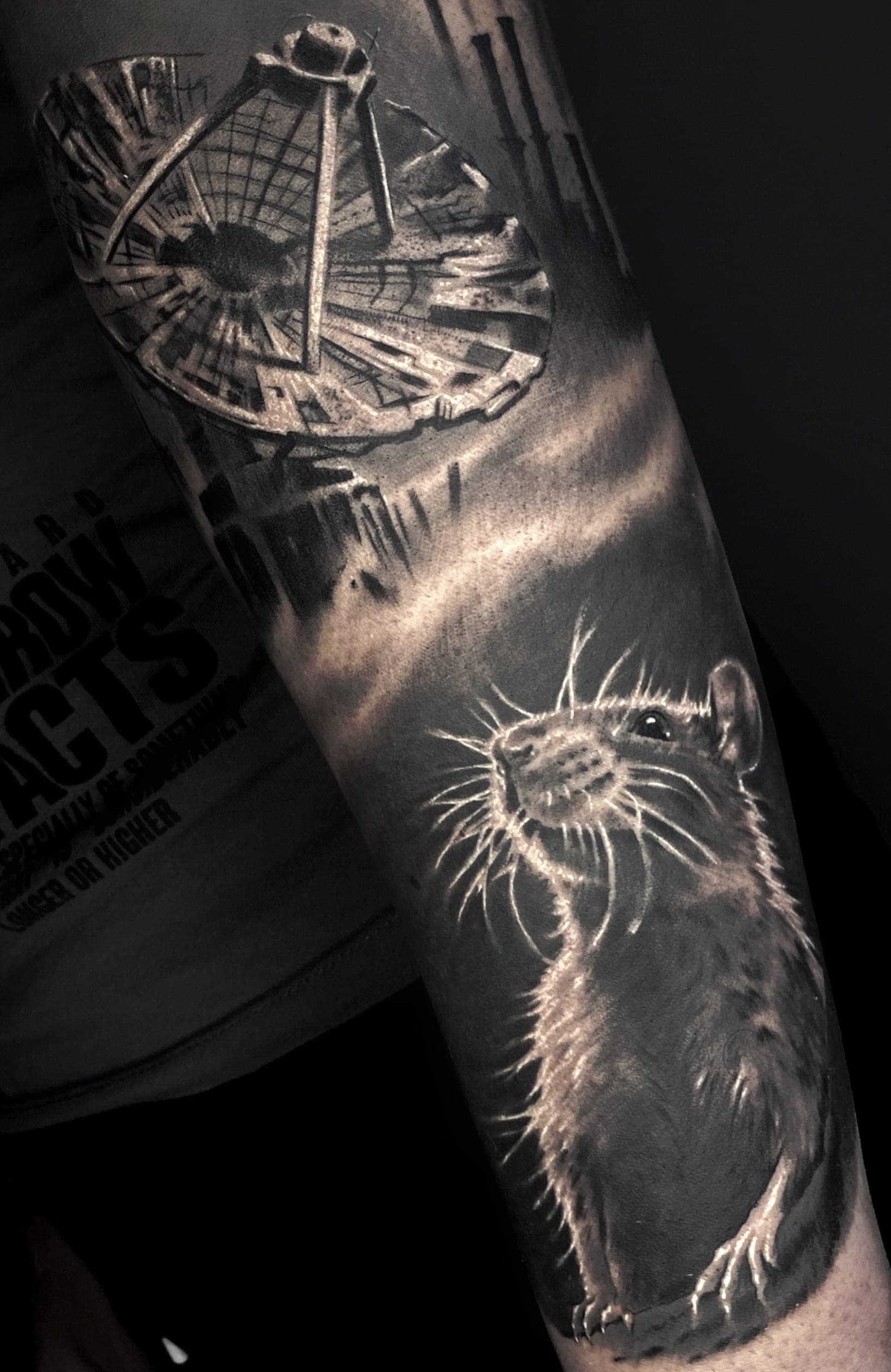 Tomek - Portfolio 24